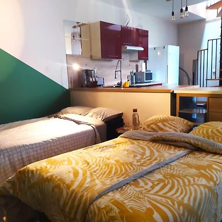 Spacieux Appartement Au Calme 15Min Sud De Lyon Proche Metro Et Gare Confluence Aquarium Gerland Oullins Kültér fotó